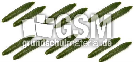 Gurke-6x2.jpg